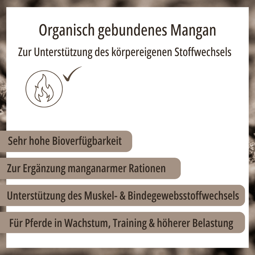Grafik zu HBD Vital® MonoMangan A/F: sehr hohe Bioverfügbarkeit, zur Ergänzung manganarmer Rationen, Unterstützung des Muskel- und Bindegewebsstoffwechsels für Pferde in Wachstum, Training oder höherer Belastung