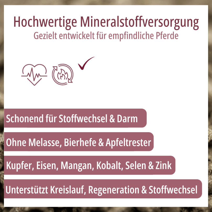 Grafik zu HBD Vital® HorseMineral MBAfrei: schonend für Stoffwechsel und Darm, ohne Melasse, Bierhefe und Apfeltrester, mit Kupfer, Eisen, Mangan, Kobalt, Selen und Zink zur Unterstützung von Kreislauf, Regeneration und Stoffwechsel