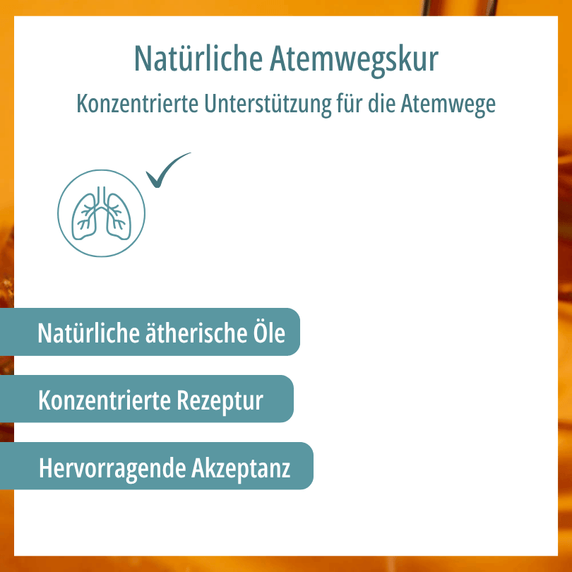 Grafik zu HBD Vital® BronchoAkut: konzentrierte Rezeptur mit natürlichen ätherischen Ölen zur Unterstützung der Atemwege, mit guter Akzeptanz