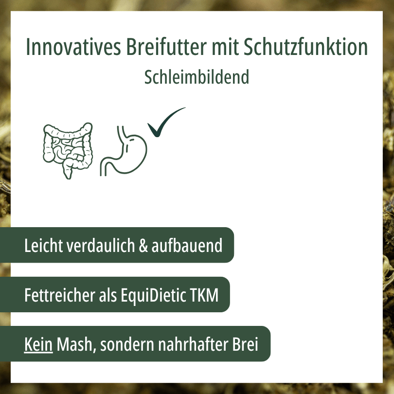 Grafik zu HBD Vital® EquiDietic Reis: leicht verdauliches, aufbauendes und schleimbildendes Breifutter, kein Mash, sondern nahrhafter Brei
