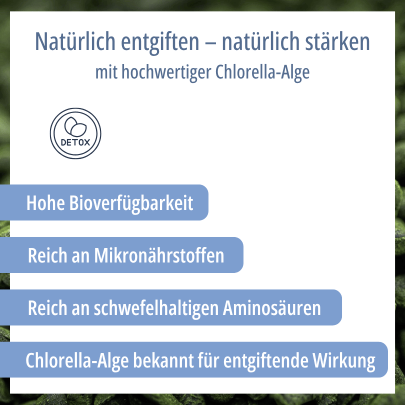 Grafik zu HBD Vital® Chlorella-Alge: hohe Bioverfügbarkeit, reich an Mikronährstoffen und schwefelhaltigen Aminosäuren