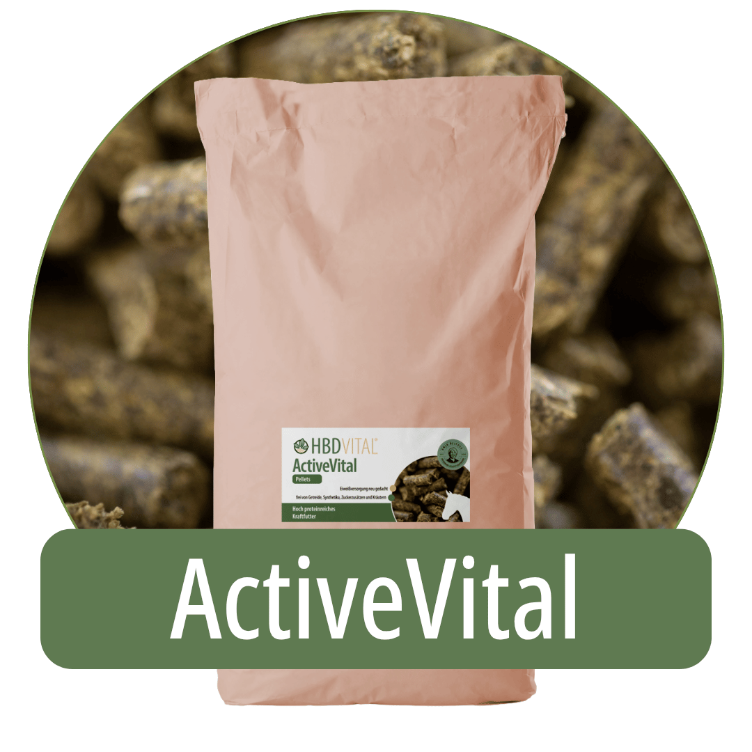 HBD Vital® ActiveVital Pellets für Pferde: hoch proteinreiches Kraftfutter, frei von Getreide, Synthetika, Zuckerzusätzen und Kräutern.