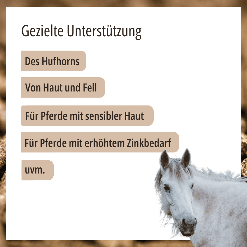 Pferd zu HBD Vital® MonoZink: Einsatzbereiche u. a. für Hufhorn, Haut und Fell sowie für Pferde mit sensibler Haut oder erhöhtem Zinkbedarf