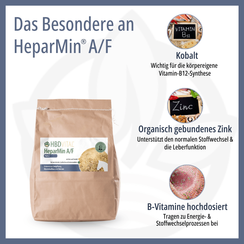 Infografik zu HBD Vital® HeparMin® A/F: Kobalt für die körpereigene Vitamin-B12-Synthese, organisch gebundenes Zink zur Unterstützung von Stoffwechsel und Leberfunktion sowie hochdosierte B-Vitamine für Energie- und Stoffwechselprozesse