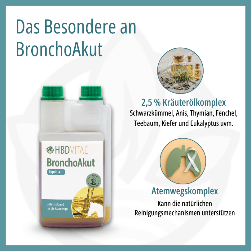 nfografik zu HBD Vital® BronchoAkut: 2,5 % Kräuterölkomplex aus Schwarzkümmel, Anis, Thymian, Fenchel, Teebaum, Kiefer und Eukalyptus zur Unterstützung der Atemwege