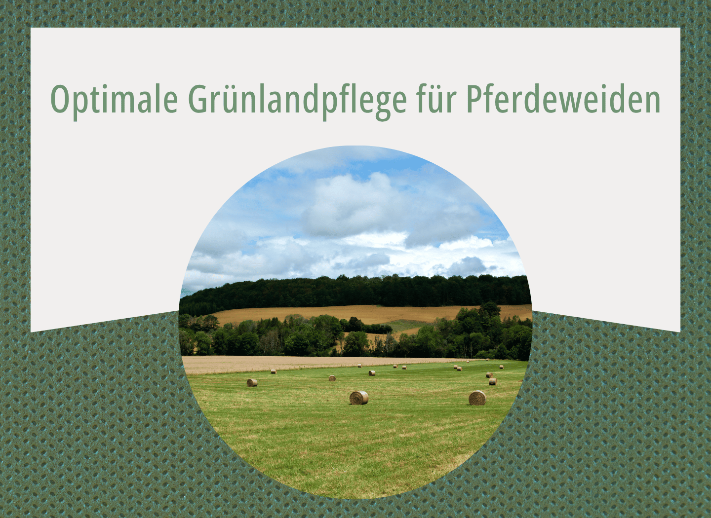 Grüne Pferdeweide mit runden Heuballen, Waldrand und bewölktem Himmel im Hintergrund