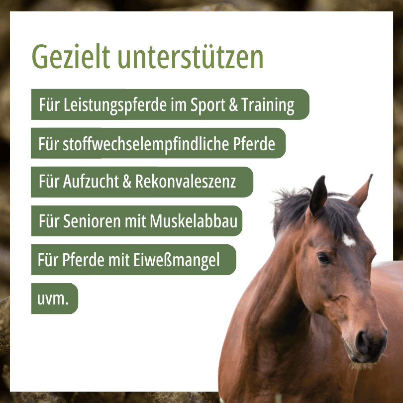 HBD Vital® ActiveVital: geeignet für Leistungspferde im Sport und Training, für stoffwechselempfindliche Pferde, für Aufzucht und Rekonvaleszenz, für Senioren mit Muskelabbau sowie für Pferde mit Eiweißmangel.