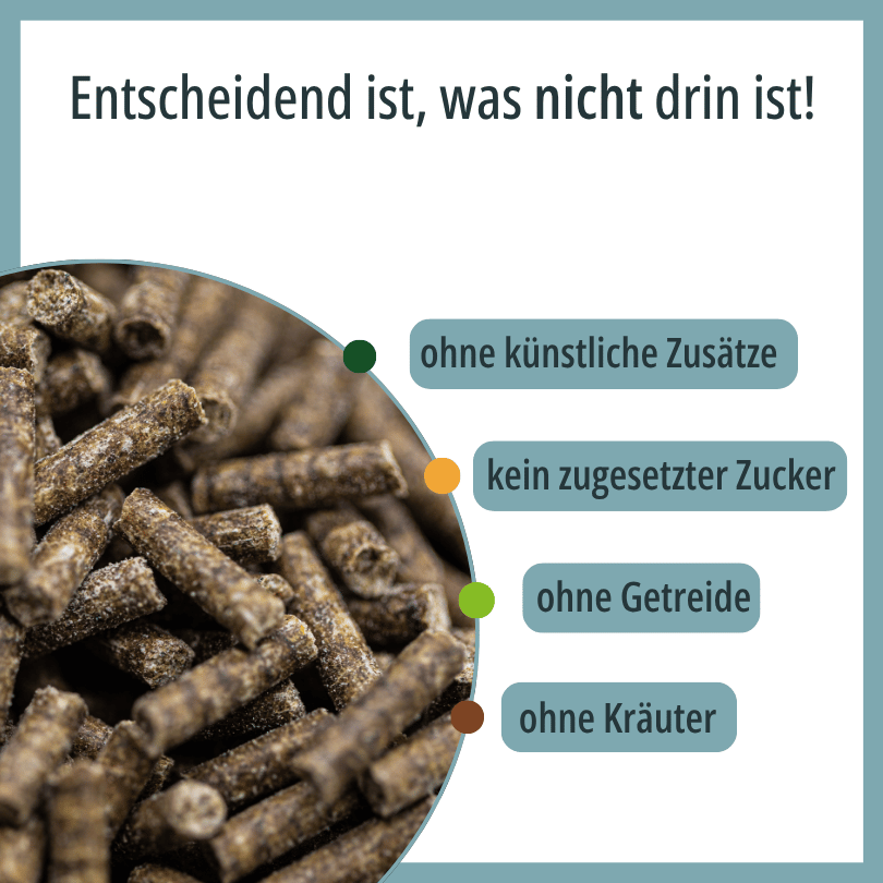 Nahaufnahme der HBD Vital® MoveVital Pellets, ohne künstliche Zusätze, ohne zugesetzten Zucker, ohne Getreide, ohne Kräuter