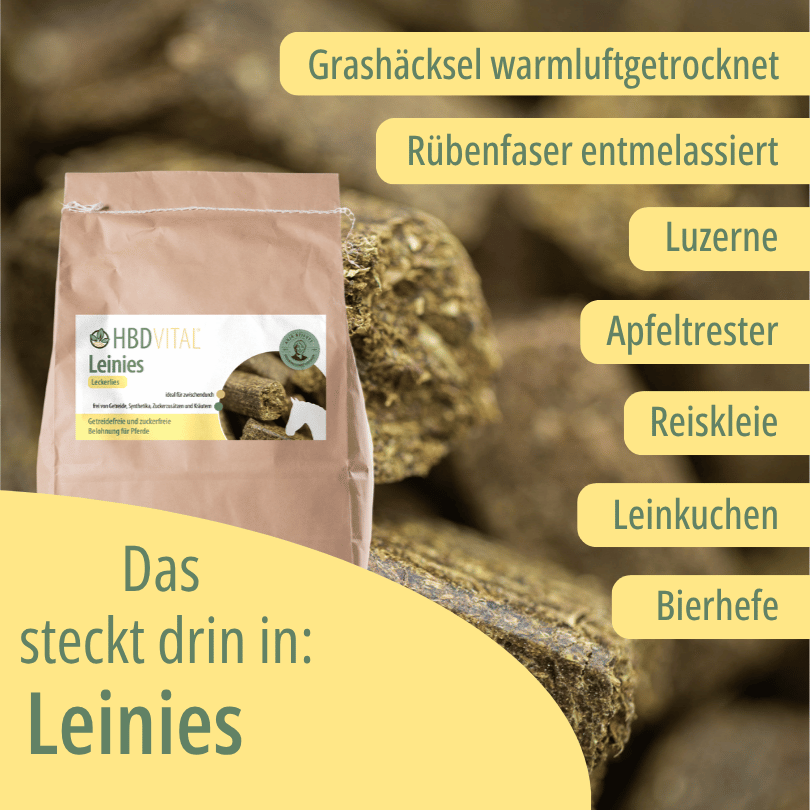 HBD Vital® Leinies Verpackung mit den Zutaten Grashäcksel, entmelassierte Rübenfaser, Luzerne, Apfeltrester, Reiskleie, Leinkuchen und Bierhefe