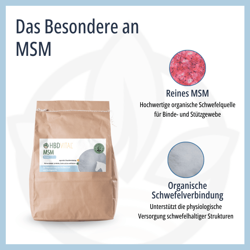 Infografik zu HBD Vital® MSM: reines MSM als hochwertige organische Schwefelquelle für Binde- und Stützgewebe sowie organische Schwefelverbindung zur Unterstützung schwefelhaltiger Strukturen