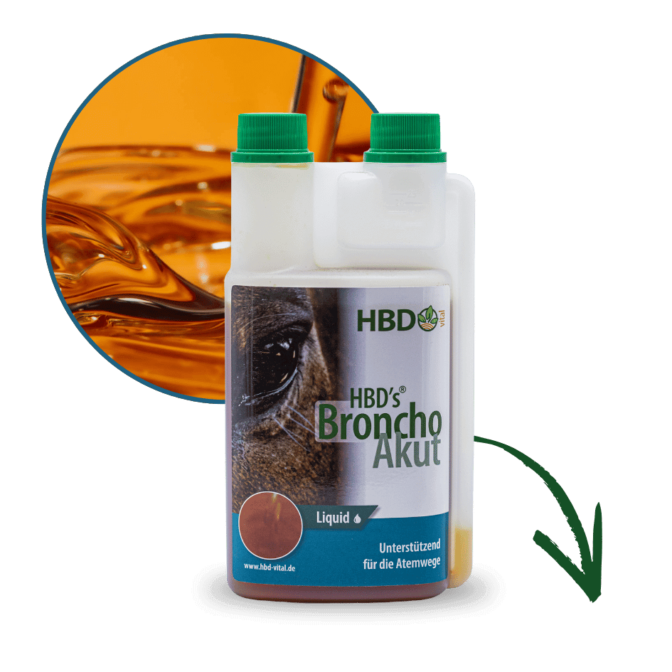 Flasche mit BronchoAkut dem Liquid und einem Pfeil