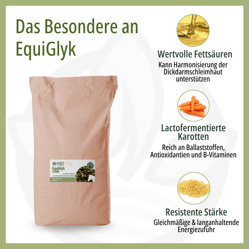 Infografik zu HBD Vital® EquiGlyk: wertvolle Fettsäuren, lactofermentierte Karotten reich an Ballaststoffen und resistente Stärke für eine gleichmäßige Energiezufuhr