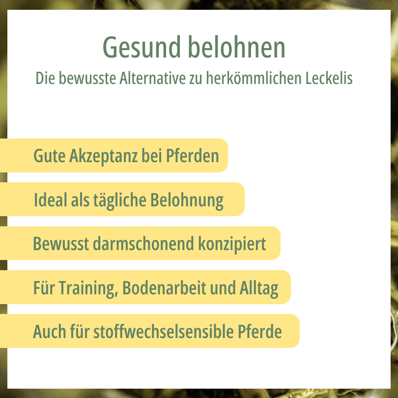 Grafik zu HBD Vital® Leinies: gute Akzeptanz bei Pferden, ideal als tägliche Belohnung, bewusst darmschonend konzipiert, auch für stoffwechselsensible Pferde geeignet