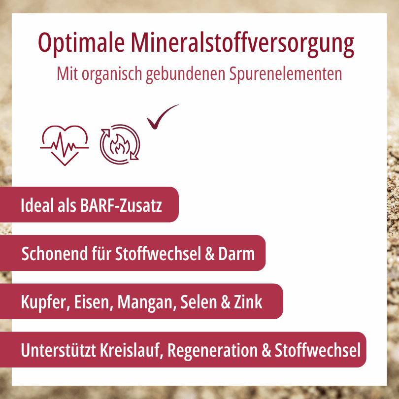 Grafik zu HBD Vital® DogMineral: ideal als BARF-Zusatz, schonend für Stoffwechsel und Darm, mit Kupfer, Eisen, Mangan, Selen und Zink zur Unterstützung von Kreislauf, Regeneration und Stoffwechsel