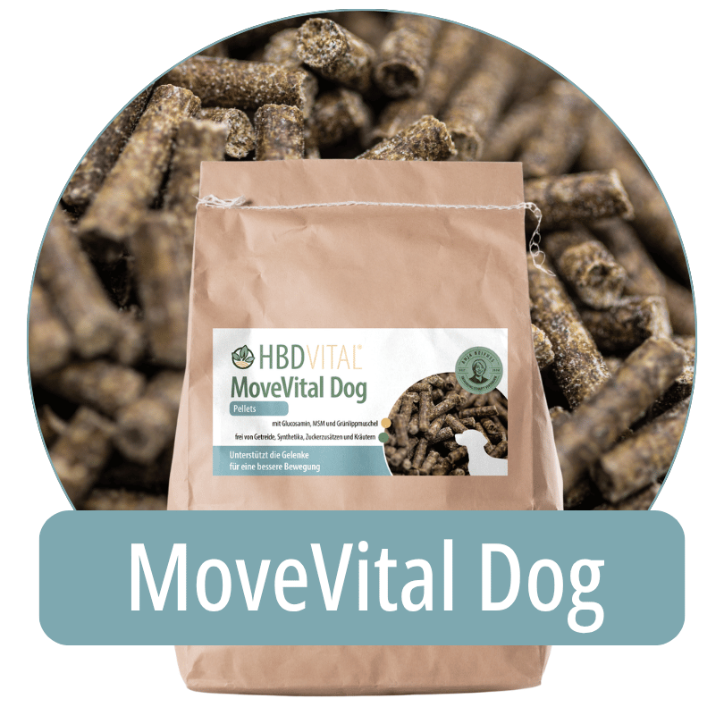 roduktverpackung HBD Vital® MoveVital Dog Pellets mit Glucosamin, MSM und Grünlippmuschel, Einzelfuttermittel für Hunde