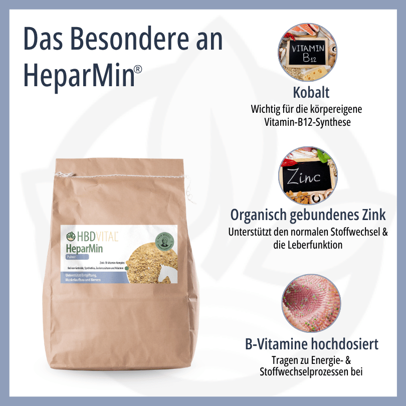 Infografik zu HBD Vital® HeparMin®: Kobalt für die körpereigene Vitamin-B12-Synthese, organisch gebundenes Zink zur Unterstützung von Stoffwechsel und Leberfunktion sowie hochdosierte B-Vitamine für Energie- und Stoffwechselprozesse