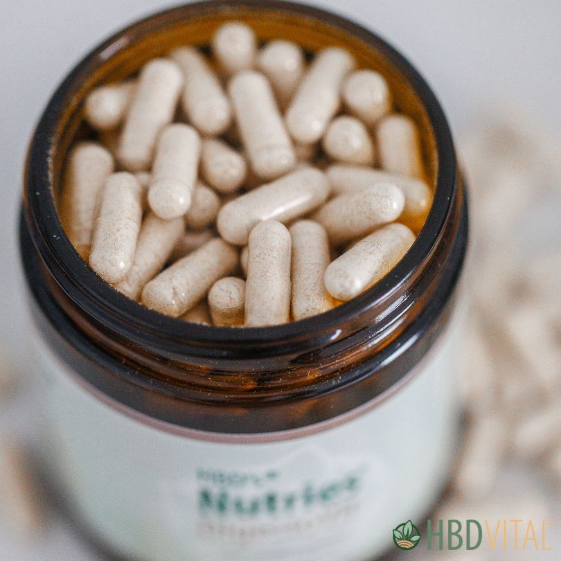 Ein offenes braunes Glas von HBD’s® Nutries® DigestoVit. In dem Glas sind Kapseln zu sehen.