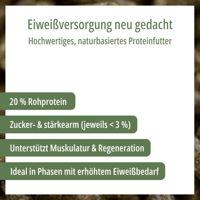 HBD Vital® ActiveVital: naturbasiertes Proteinfutter mit 20 % Rohprotein, zucker- und stärkearm (jeweils unter 3 %), unterstützt Muskulatur und Regeneration, ideal in Phasen mit erhöhtem Eiweißbedarf.