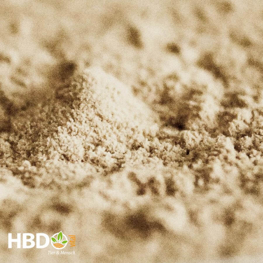 Foto von HBD’s Gruenlipp Pur - Eine Nahaufnahme von HBD’s GruenlippPur zeigt beiges feinkröniges Pulver.