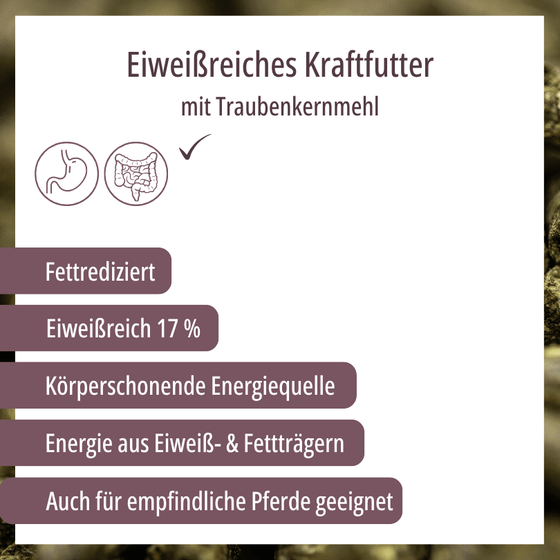 HBD Vital® Vitalo TKM: fettarmes, eiweißreiches Kraftfutter mit 17 % Eiweiß, eine körperschonende Energiequelle aus Eiweiß- und Fettträgern, auch für empfindliche Pferde geeignet.