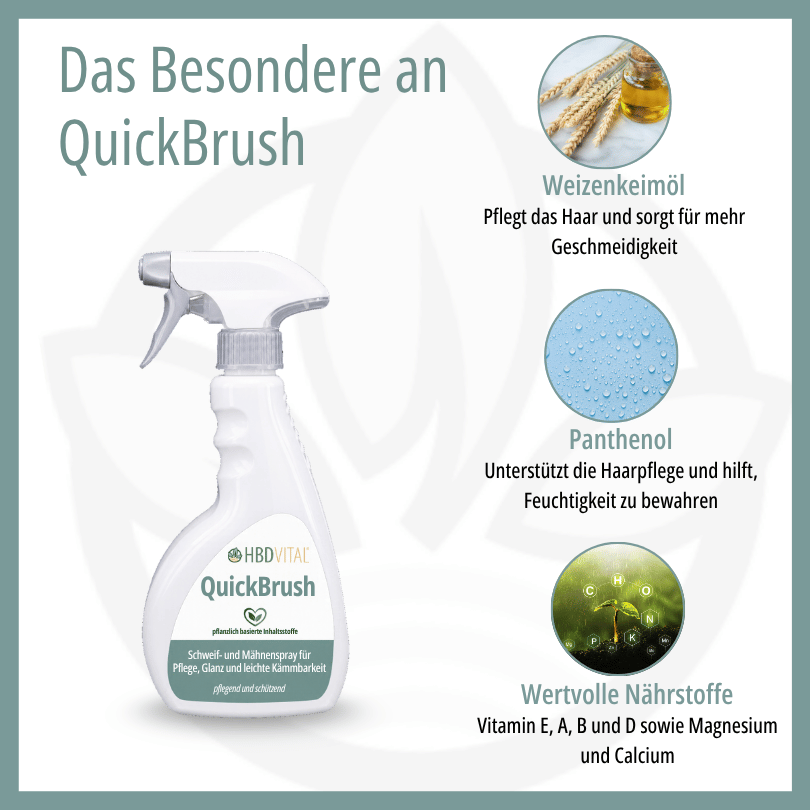 QuickBrush Inhaltsstoffe: Weizenkeimöl für geschmeidiges Haar, Panthenol für Feuchtigkeit sowie Vitamin E, A, B, D, Magnesium und Calcium