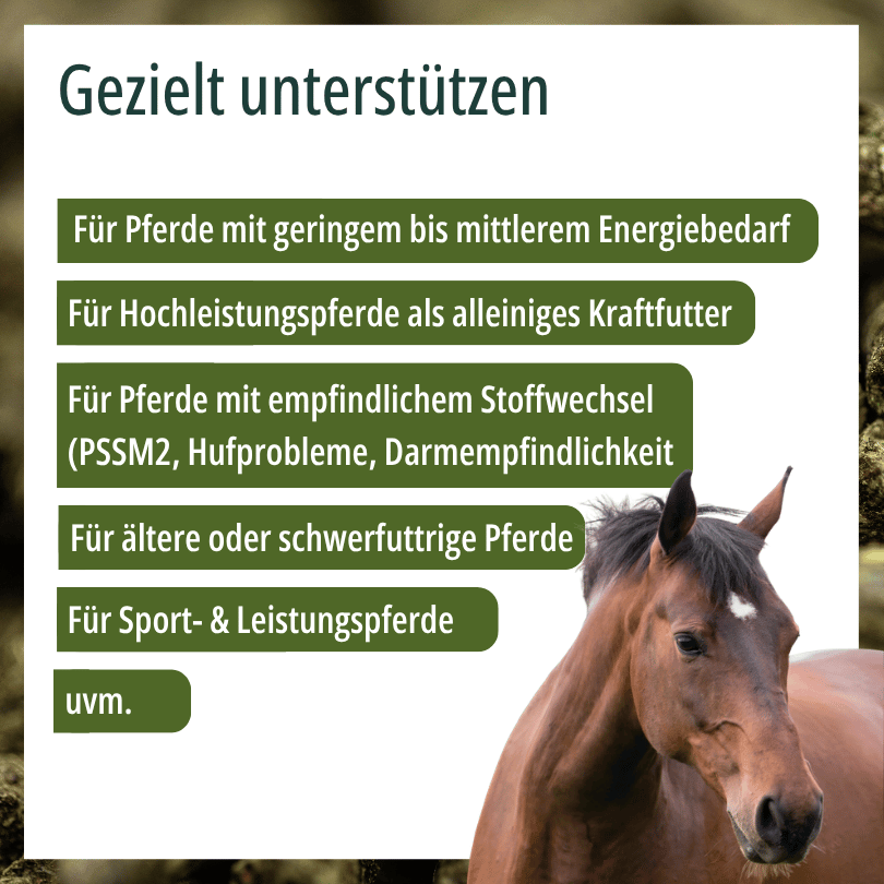 HBD Vital® Vitalo Reis: geeignet für Pferde mit geringem bis mittlerem Energiebedarf, für Hochleistungspferde als alleiniges Kraftfutter, für Pferde mit empfindlichem Stoffwechsel, für ältere oder schwerfuttrige Pferde sowie für Sport- und Leistungspferde