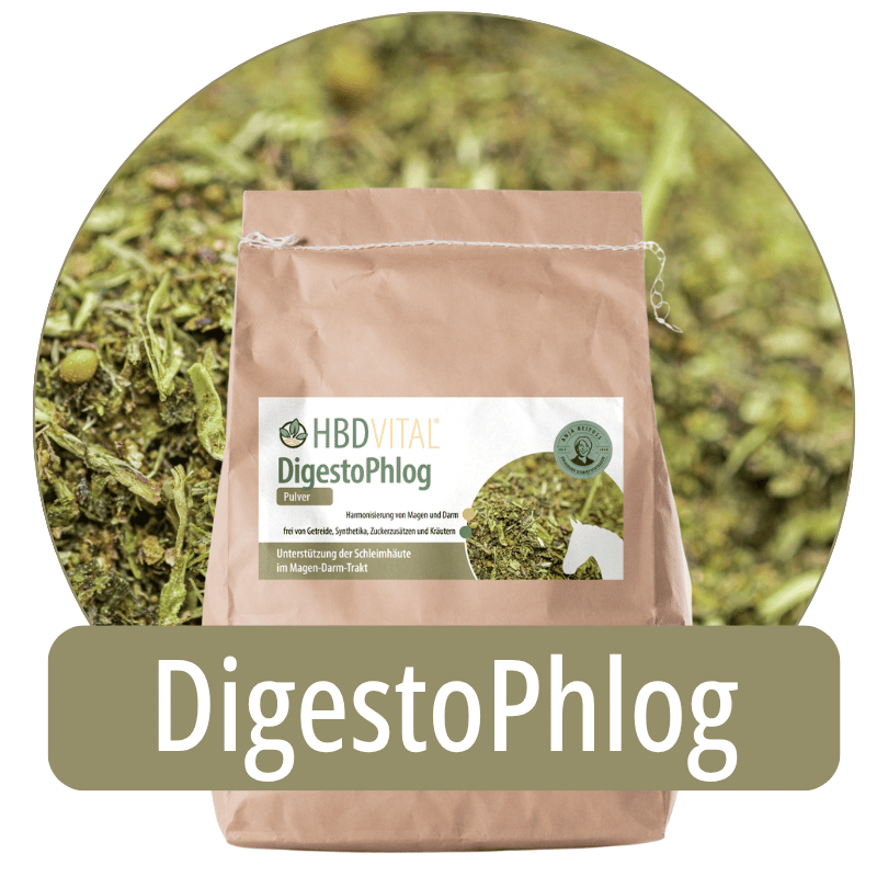 Produktverpackung HBD Vital® DigestoPhlog Pulver, Ergänzungsfuttermittel für Pferde zur Unterstützung der Schleimhäute im Magen-Darm-Trakt