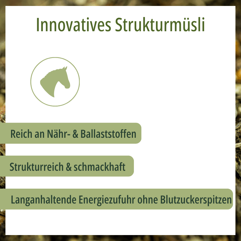 Grafik zu HBD Vital® EquiGlyk: reich an Nähr- und Ballaststoffen, strukturreiche und schmackhafte Konsistenz, langanhaltende Energiezufuhr ohne Blutzuckerspitzen