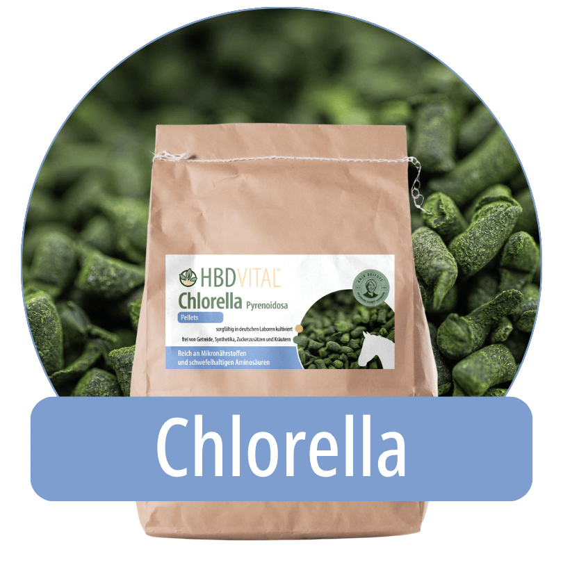 Produktverpackung HBD Vital® Chlorella Pyrenoidosa Pellets, Einzelfuttermittel für Pferde, reich an Mikronährstoffen und schwefelhaltigen Aminosäuren