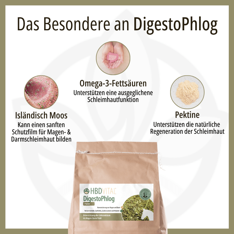 Infografik zu HBD Vital® DigestoPhlog: Isländisch Moos für einen Schutzfilm der Magen- und Darmschleimhaut, Omega-3-Fettsäuren für die Schleimhautfunktion und Pektine zur Unterstützung der Schleimhautregeneration