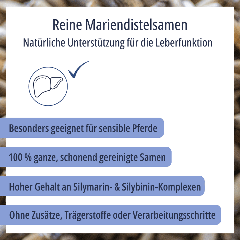 Grafik zu HBD Vital® Mariendistelfrucht: besonders geeignet für sensible Pferde, 100 % ganze, schonend gereinigte Samen mit hohem Gehalt an Silymarin- und Silybinin-Komplexen
