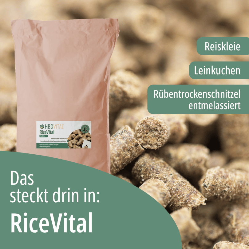 HBD Vital® RiceVital mit Reiskleie, Leinkuchen, entmelassierten Rübentrockenschnitzeln und Calciumcarbonat.