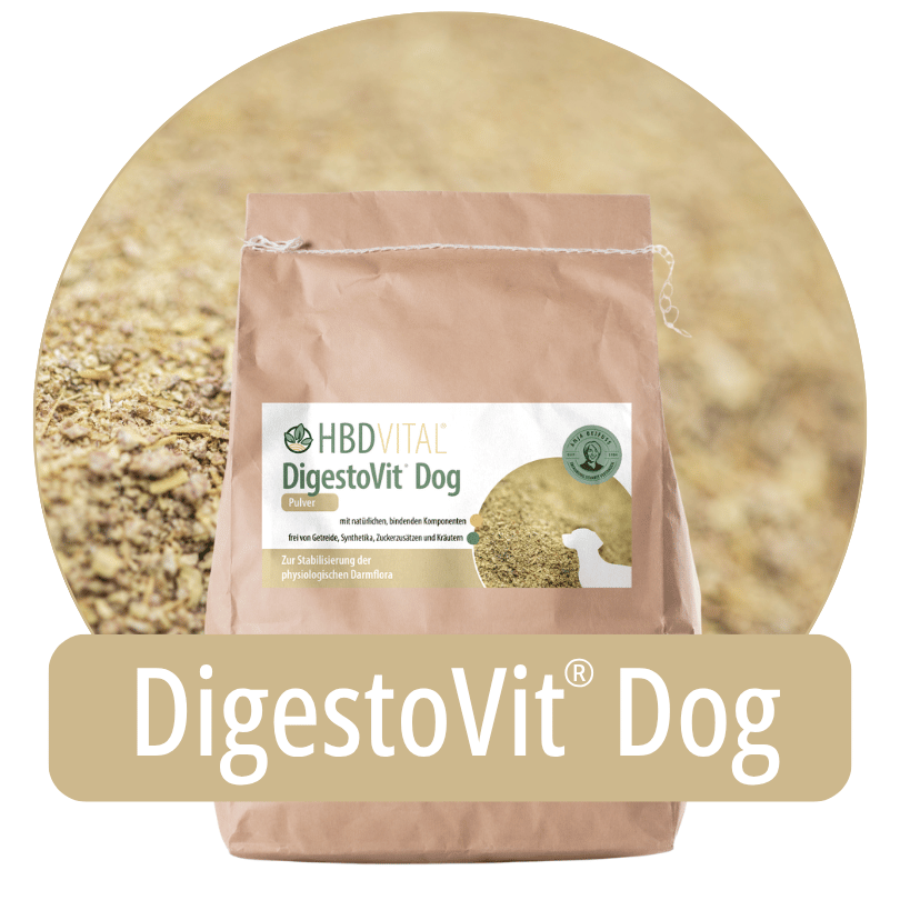 Produktverpackung HBD Vital® DigestoVit® Dog Pulver, Ergänzungsfuttermittel für Hunde zur Stabilisierung der physiologischen Darmflora
