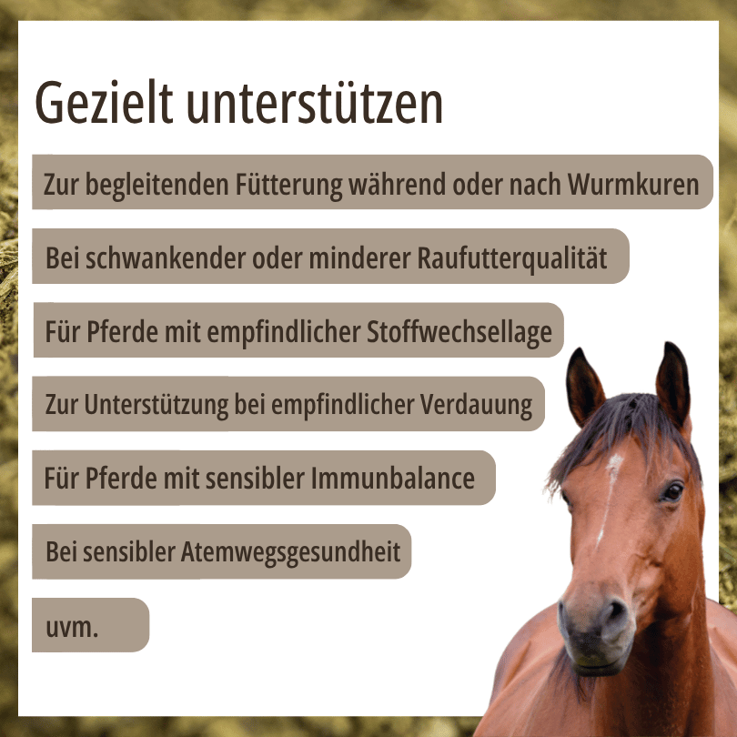HBD Vital® Mytox ohne Bierhefe: geeignet zur begleitenden Fütterung während oder nach Wurmkuren, bei schwankender oder minderer Raufutterqualität, für Pferde mit empfindlicher Stoffwechsellage, zur Unterstützung bei empfindlicher Verdauung, für Pferde mit