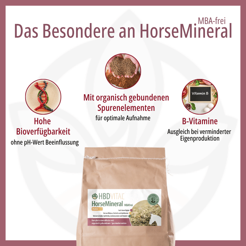 Infografik zu HBD Vital® HorseMineral MBAfrei: hohe Bioverfügbarkeit ohne pH-Wert-Beeinflussung, organisch gebundene Spurenelemente für optimale Aufnahme sowie B-Vitamine zum Ausgleich bei verminderter Eigenproduktion