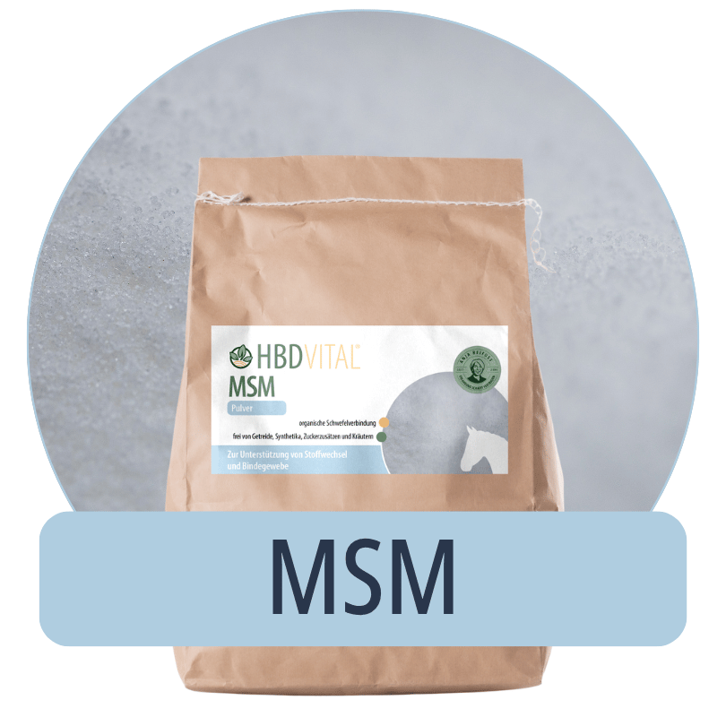 Produktverpackung HBD Vital® MSM Pulver, reine organische Schwefelverbindung als Einzelfuttermittel für Pferde