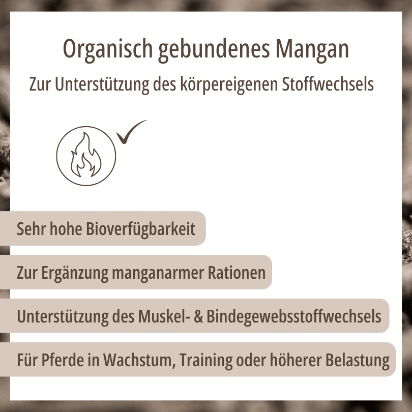 Grafik zu HBD Vital® MonoMangan: sehr hohe Bioverfügbarkeit, zur Ergänzung manganarmer Rationen, Unterstützung des Muskel- und Bindegewebsstoffwechsels für Pferde in Wachstum, Training oder höherer Belastung