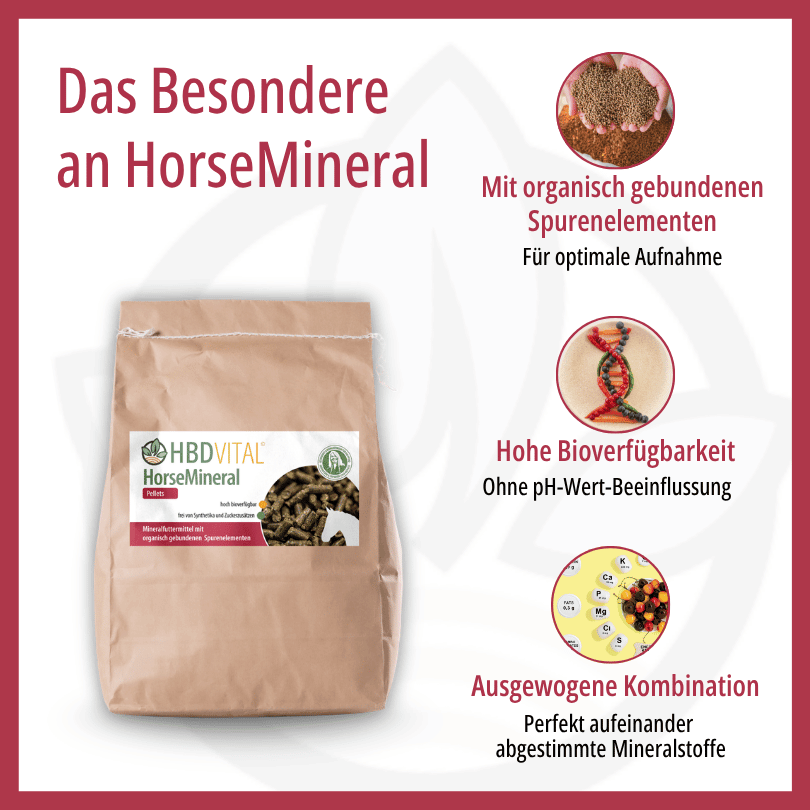 Infografik zu HBD Vital® HorseMineral: organisch gebundene Spurenelemente für optimale Aufnahme, hohe Bioverfügbarkeit ohne pH-Wert-Beeinflussung sowie eine ausgewogene, perfekt abgestimmte Mineralstoffkombination