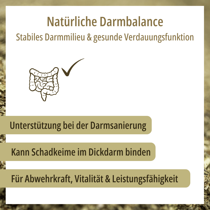 Grafik zu HBD Vital® DigestoVit® ohne Bierhefe: Unterstützung zur Darmsanierung, kann Schadkeime im Dickdarm binden, für Immunleistung, Vitalität und Leistungsfähigkeit