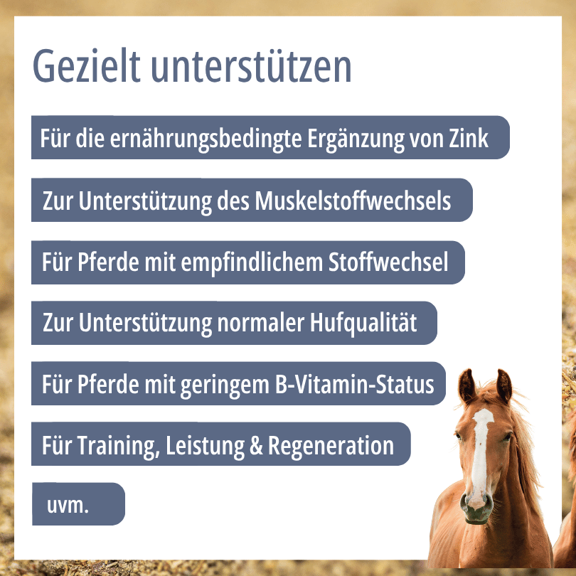 Pferd zu HBD Vital® HeparMin® A/F: Einsatzbereiche u. a. zur Ergänzung von Zink, für Pferde mit empfindlichem Stoffwechsel sowie zur Unterstützung von Muskelstoffwechsel und Hufqualität