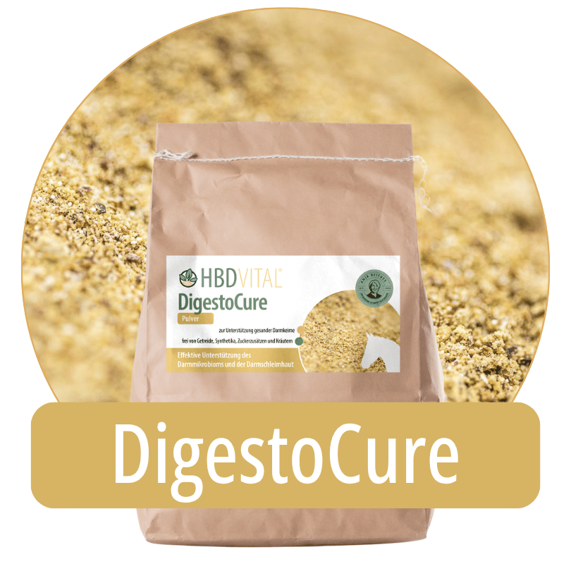 Produktverpackung HBD Vital® DigestoCure Pulver, Ergänzungsfuttermittel für Pferde zur Unterstützung gesunder Darmkeime