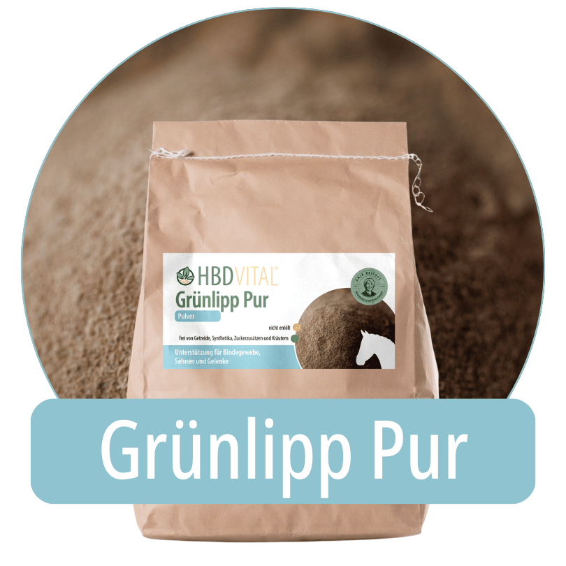 Produktverpackung HBD Vital® Grünlipp Pur Pulver, Einzelfuttermittel für Pferde zur Unterstützung von Bindegewebe, Sehnen und Gelenken