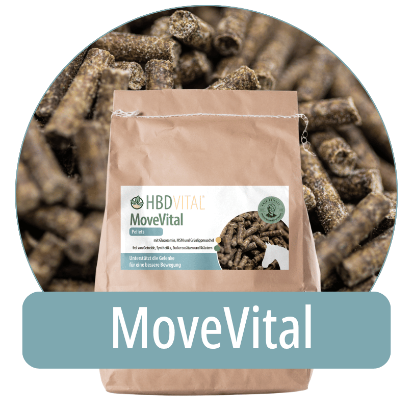 Produktverpackung HBD Vital® MoveVital Pellets mit Glucosamin, MSM und Grünlippmuschel, Einzelfuttermittel für Pferde
