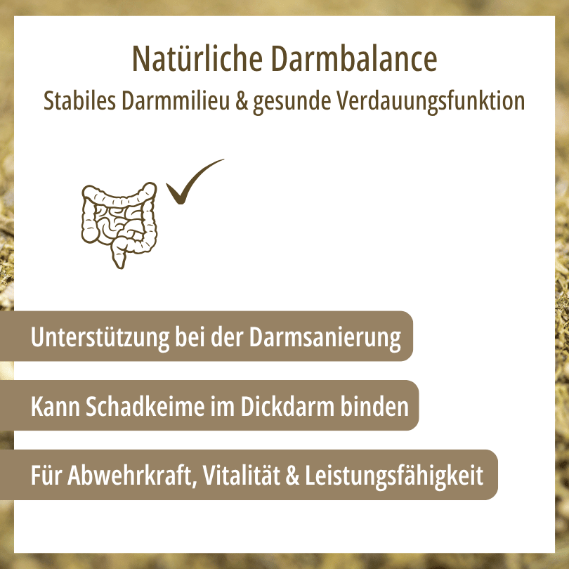 Grafik zu HBD Vital® DigestoVit® Forte: Unterstützung zur Darmsanierung, kann Schadkeime im Dickdarm binden, für Abwehrkraft, Vitalität und Leistungsfähigkeit