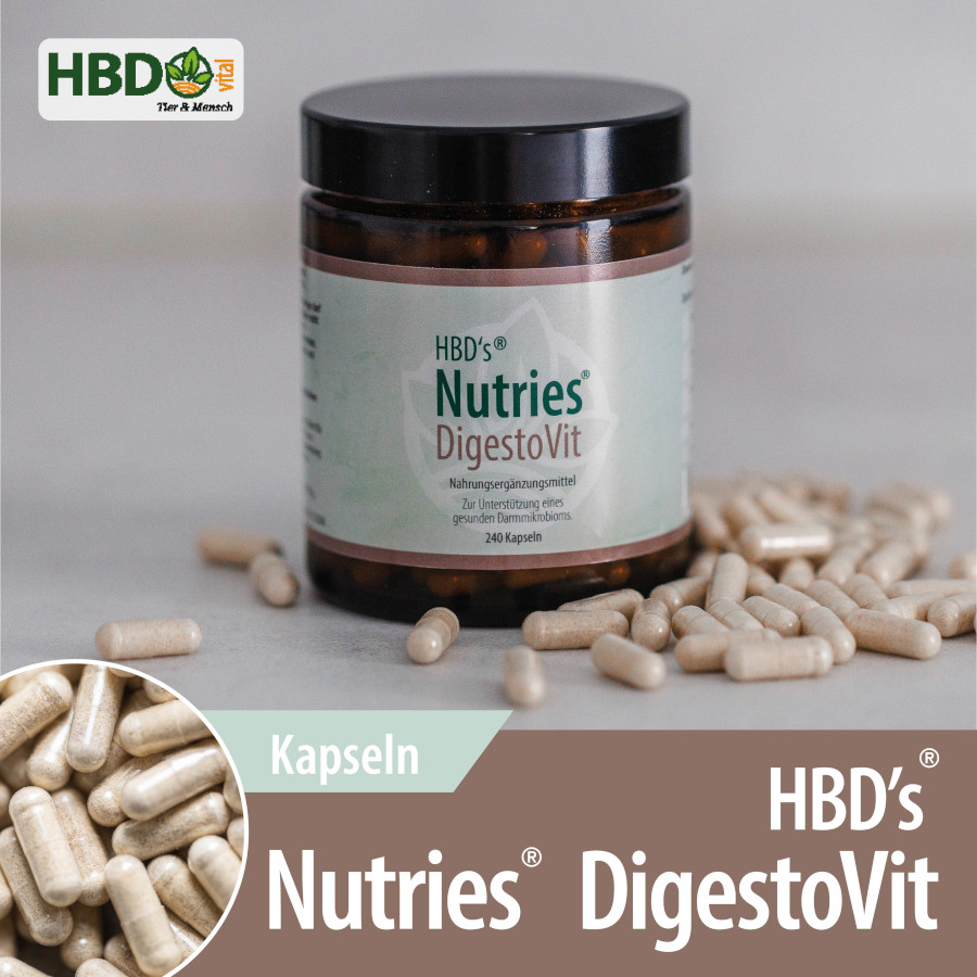 Braunes Glas mit der Aufschrift „HBD’s Nutries® DigestoVit“, einem Nahrungsergänzungsmittel zur Unterstützung eines gesunden Darmmikrobioms. Im Vordergrund liegen geöffnete weiße Kapseln, die Produktverpackung und die Kapseln sind scharf dargestellt.