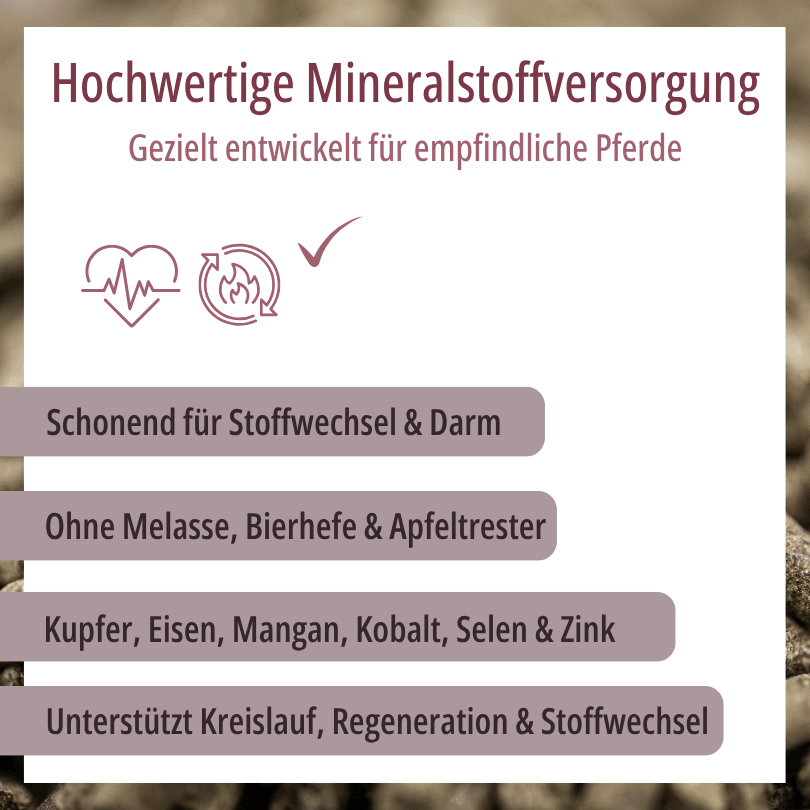 Grafik zu HBD Vital® HorseMineral SelenLight: schonend für Stoffwechsel und Darm, ohne Melasse, Bierhefe und Apfeltrester, mit Kupfer, Eisen, Mangan, Kobalt, Selen und Zink zur Unterstützung von Kreislauf, Regeneration und Stoffwechsel