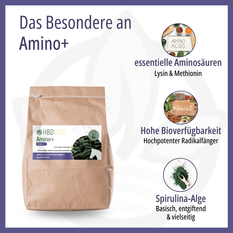 HBD Vital® Amino+ – Besondere Inhaltsstoffe im Überblick