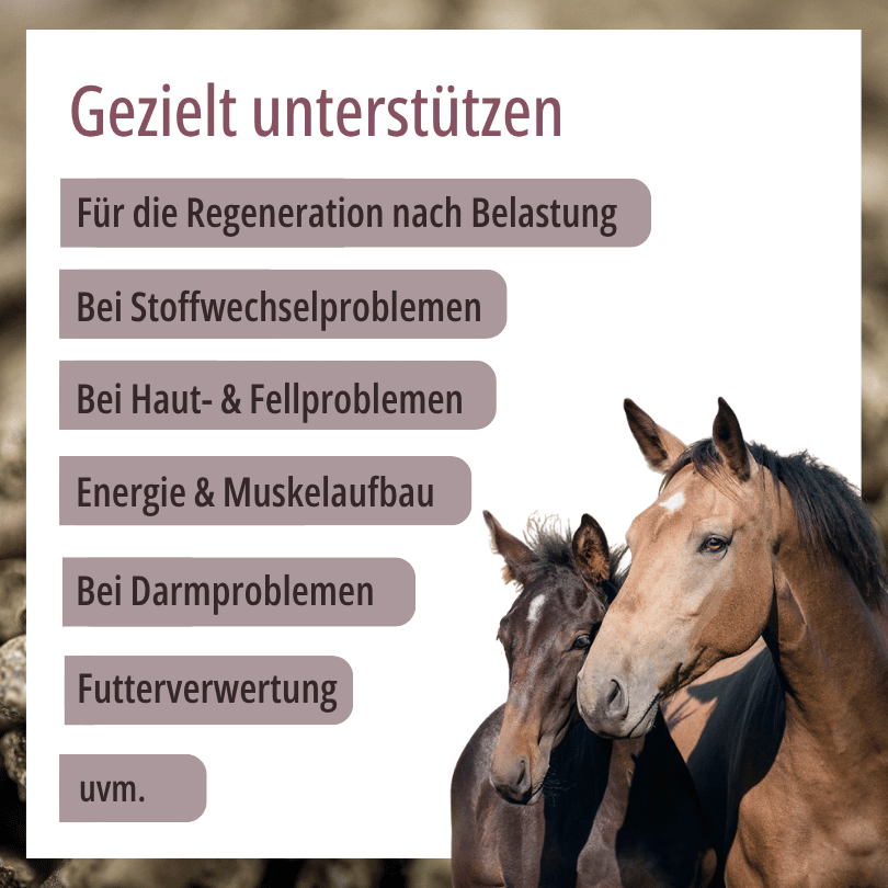 Zwei Pferde zu HBD Vital® HorseMineral SelenLight: Einsatzbereiche u. a. für die Regeneration nach Belastung, bei Stoffwechselproblemen sowie bei Haut- und Fellproblemen