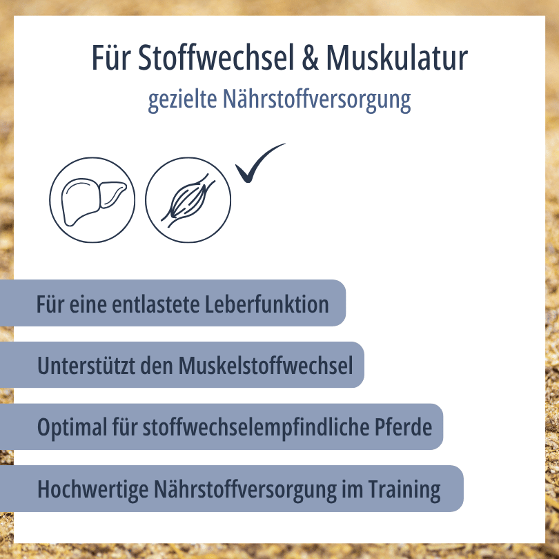 Grafik zu HBD Vital® HeparMin®: gezielte Nährstoffversorgung zur Unterstützung von Leber- und Muskelstoffwechsel, optimal für stoffwechselempfindliche Pferde und im Training