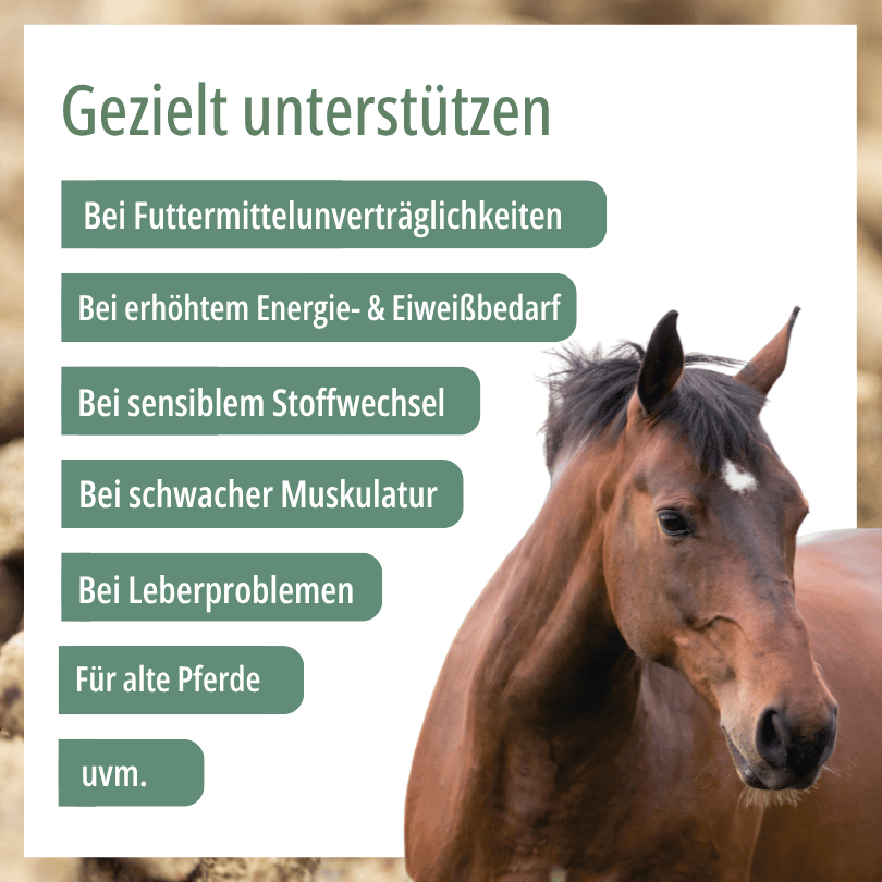 HBD Vital® RiceVital: geeignet bei Futtermittelunverträglichkeiten, bei erhöhtem Energie- und Eiweißbedarf, bei Stoffwechselproblemen, bei schwacher Muskulatur, bei Leberproblemen sowie für alte Pferde.